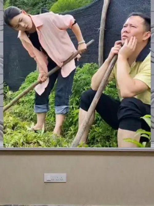 娱乐八卦是吃瓜群众,吃瓜群众带你领略八卦风云 第1张 娱乐八卦是吃瓜群众,吃瓜群众带你领略八卦风云 第1张